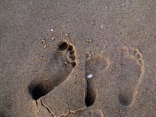 feet